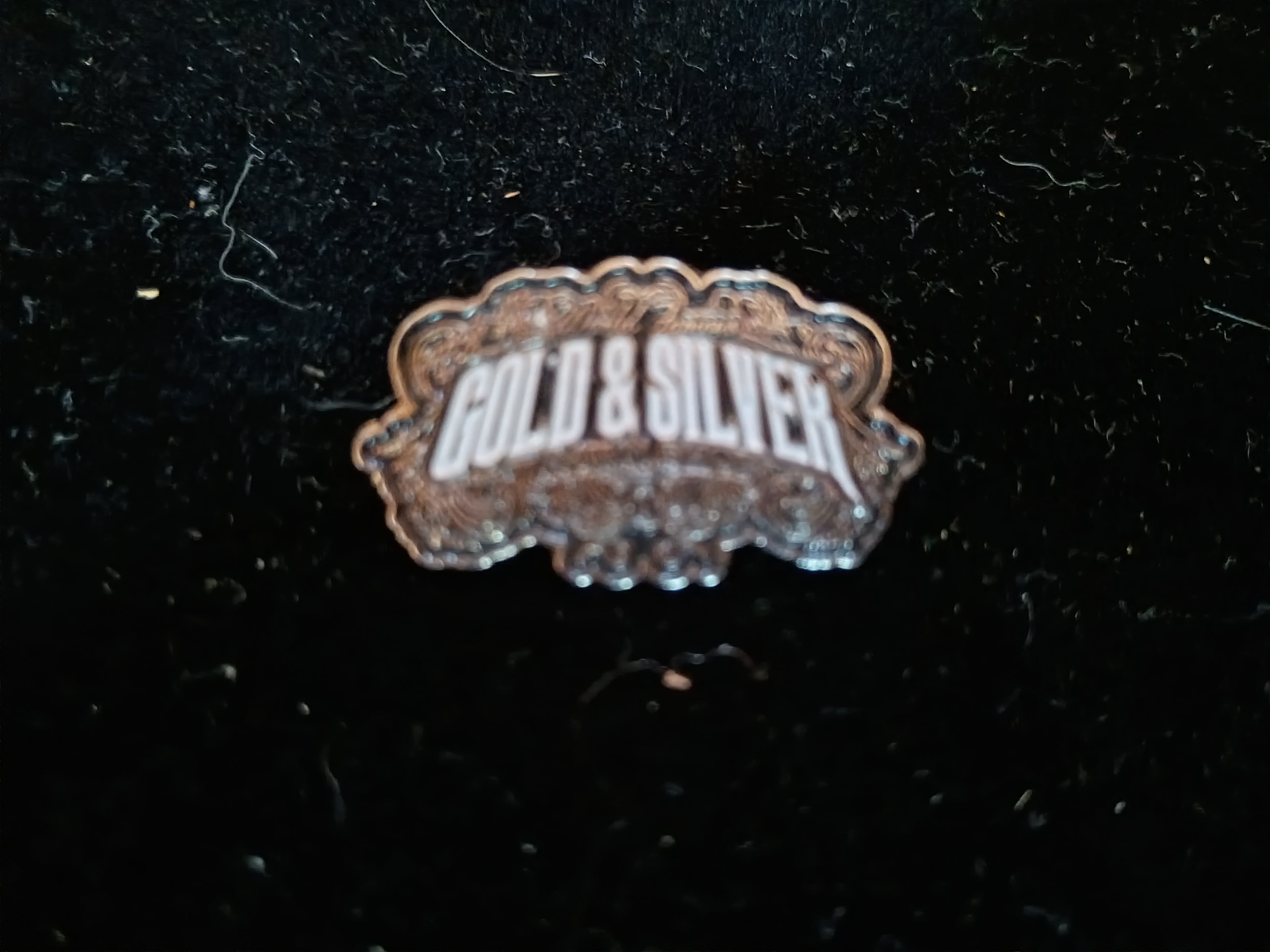 Gold & Silver Pin